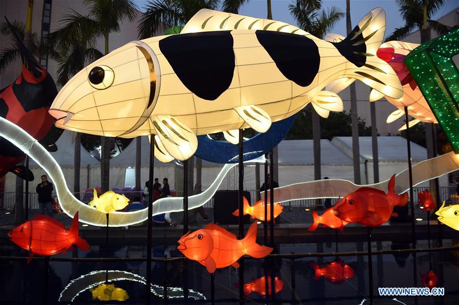 CHINA-SPRING FESTIVAL-LANTERN FAIR (CN)