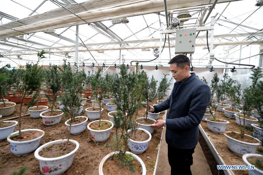 CHINA-JINGZHE-FARM WORK (CN)