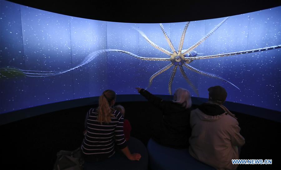 U.S.-NEW YORK-UNSEEN OCEANS-EXHIBITION