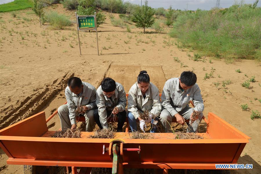 CHINA-INNER MONGOLIA-KUBUQI-DESERT CONTROL-TECHNOLOGY INNOVATION (CN)