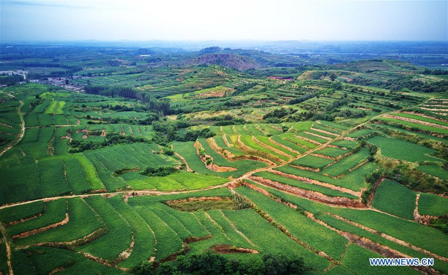 CHINA-HEBEI-TERRACED FIELDS (CN)