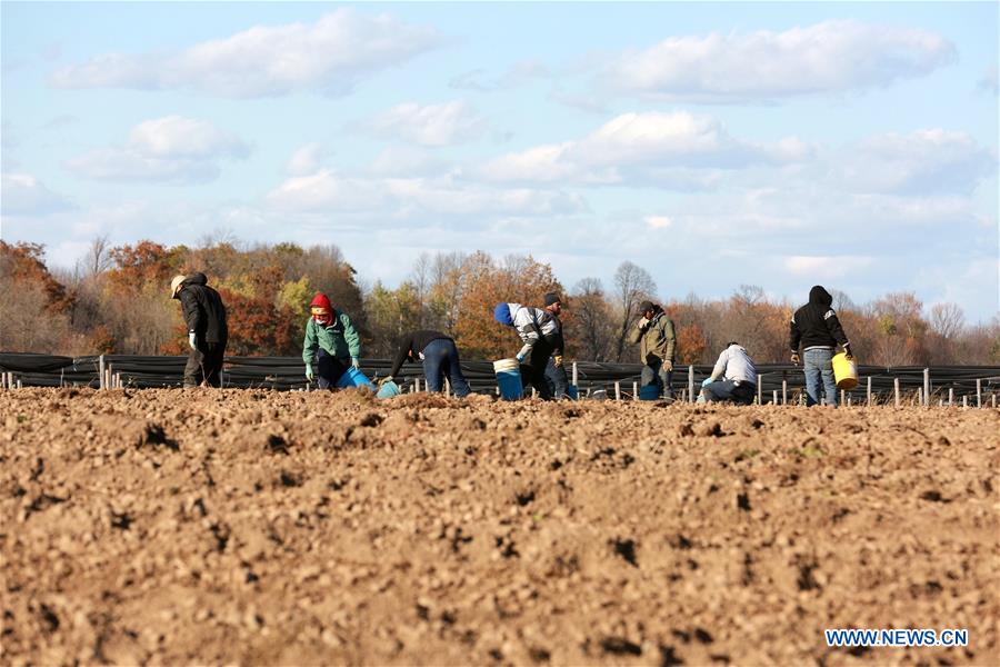 Xinhua Headlines: Merchants from U.S. state of Wisconsin seek Chinese buyers for growth