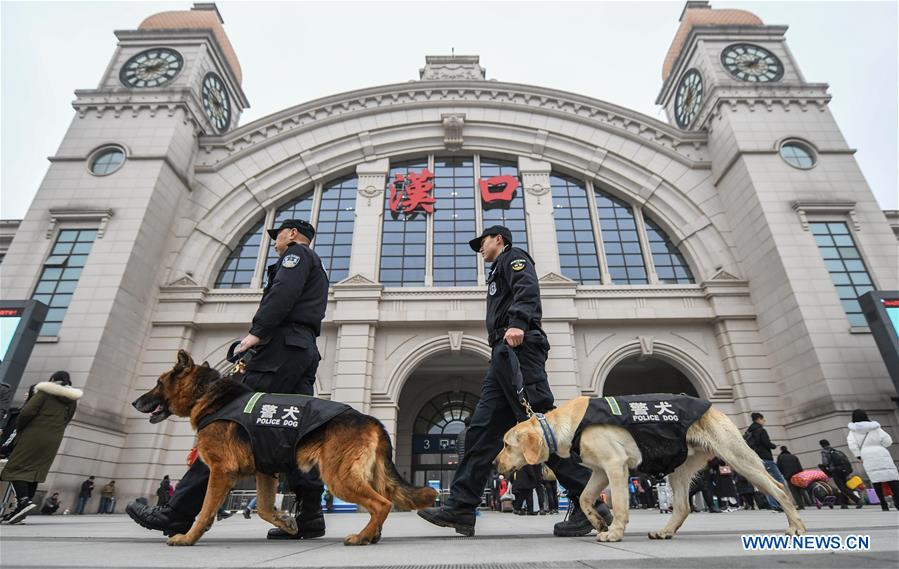 CHINA-HUBEI-WUHAN-POLICE DOG-TRAINING (CN)