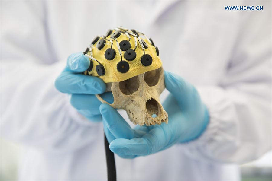 CHINA-SHANGHAI-GENE-EDITED MONKEYS (CN)