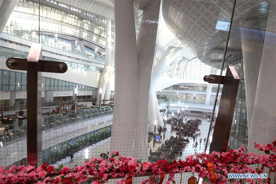 CHINA-HONG KONG-SPRING FESTIVAL DECORATIONS (CN)