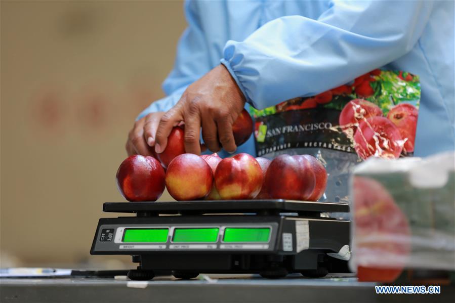 BELT AND ROAD-FOOD-CONNECTION