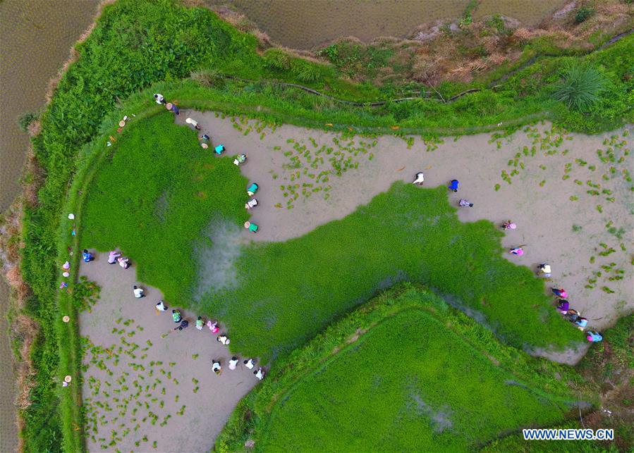 CHINA-GUANGXI-RONGSHUI-POVERTY ALLEVIATION (CN)