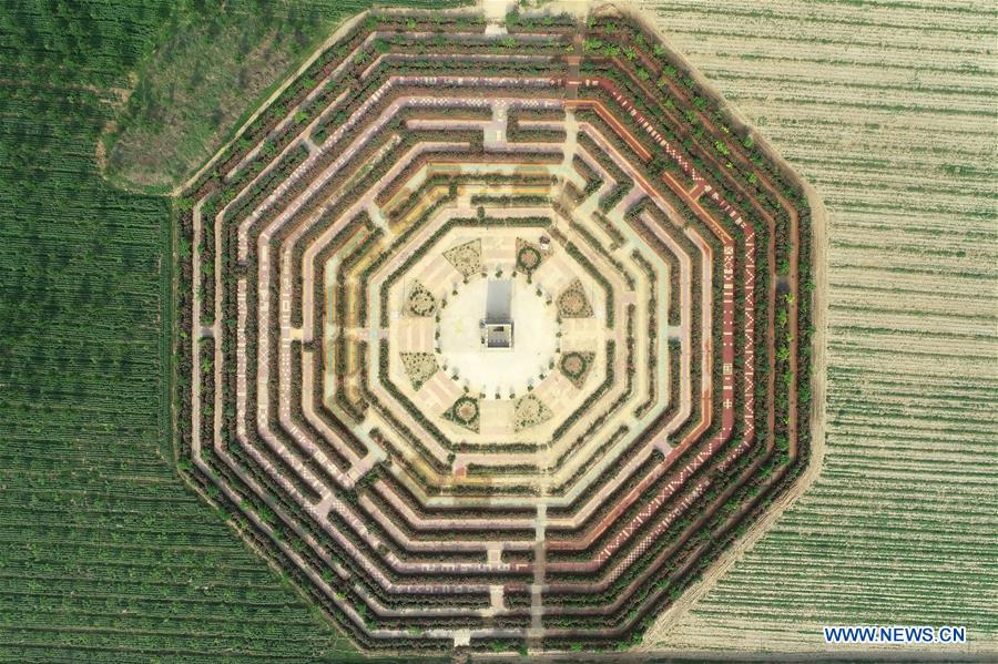 CHINA-HEBEI-CHINESE ROSE-MAZE (CN)
