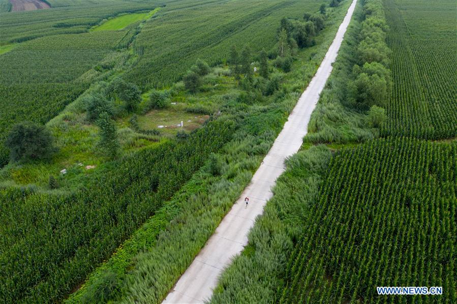 (SP)CHINA-JILIN-CHANGCHUN-RUNNING-MARATHON RUNNER(CN)