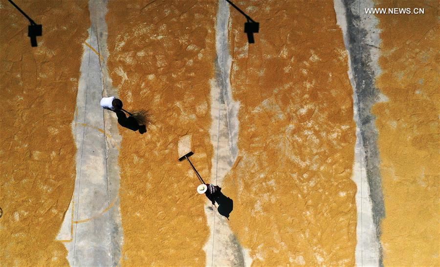 CHINA-GUIZHOU-TONGREN-POVERTY ALLEVIATION-LOVERS-WEDDING (CN)