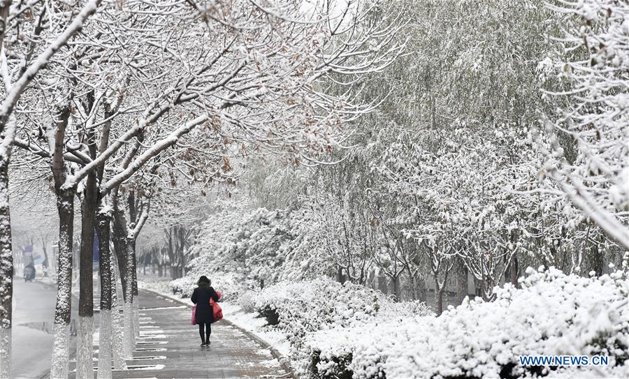 CHINA-BEIJING-SNOW-SCENERY (CN)