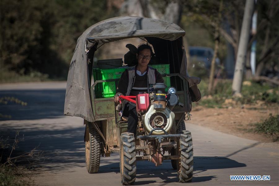 CHINA-YUNNAN-SHILIN-POVERTY ALLEVIATION-PEPINO MELON-INDUSTRY (CN)