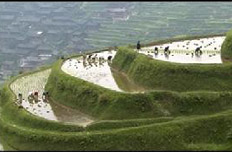 加大自然生態(tài)系統(tǒng)和環(huán)境保護力度