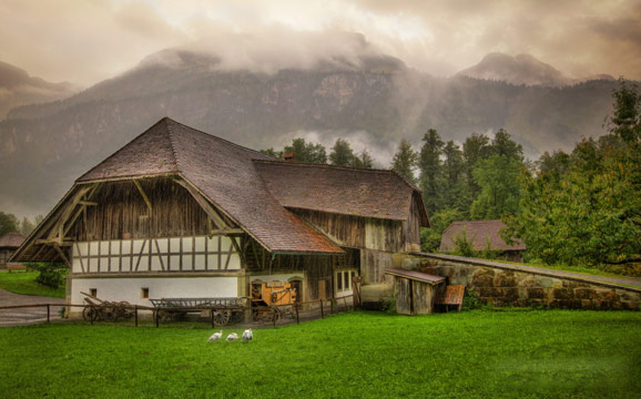 強(qiáng)調(diào)“美麗家園” 新農(nóng)村建設(shè)邁出新步伐