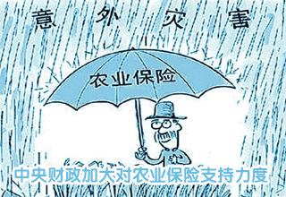 中央財政加大對農業保險支持力度