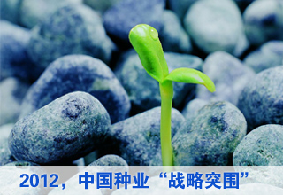 2012:中國(guó)種業(yè)“戰(zhàn)略突圍”