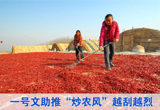 “一號(hào)文”倒計(jì)時(shí) “炒農(nóng)風(fēng)”進(jìn)行式