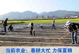當(dāng)前農(nóng)業(yè)生產(chǎn)形勢(shì):春耕大忙 力保夏糧