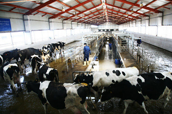 工信部力推奶粉企業兼并重組 重塑國產奶粉形象