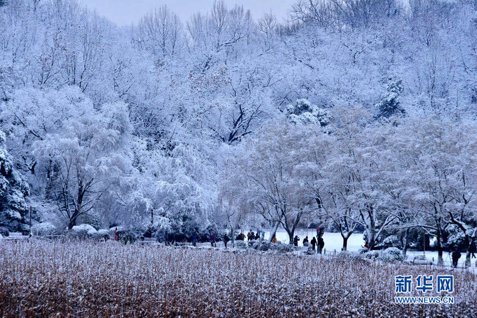 大雪季節(jié)發(fā)雪片