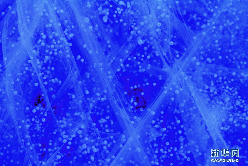 氣泡冰亮晶晶，藍(lán)精靈賽繁星