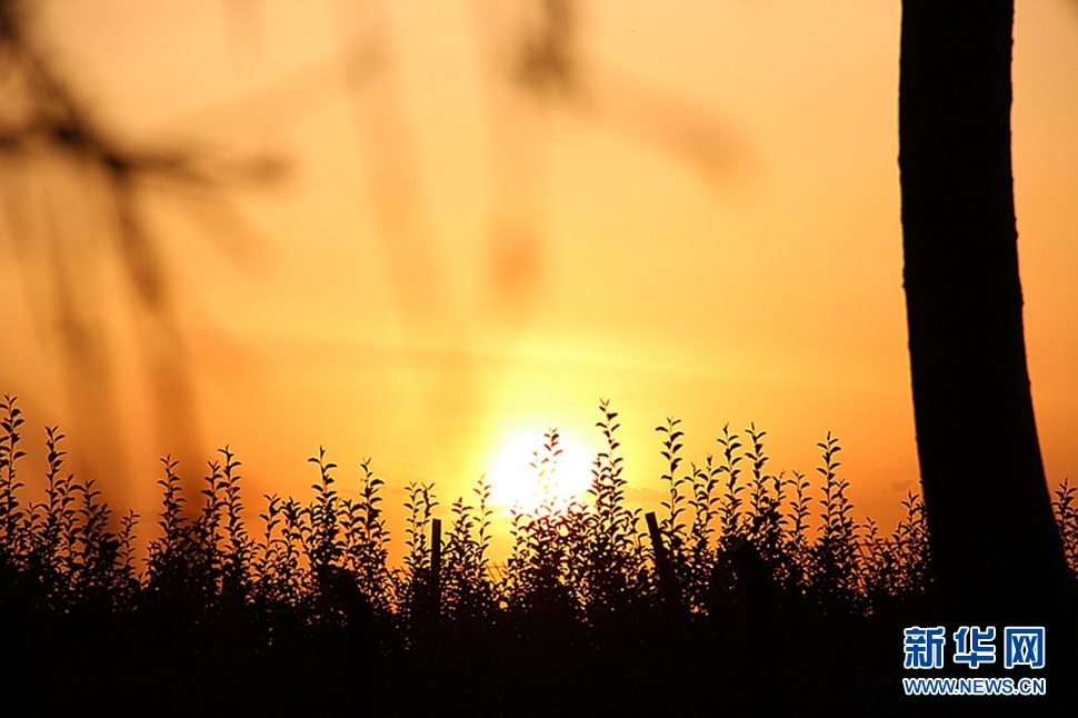 日落西山頭，人約黃昏后