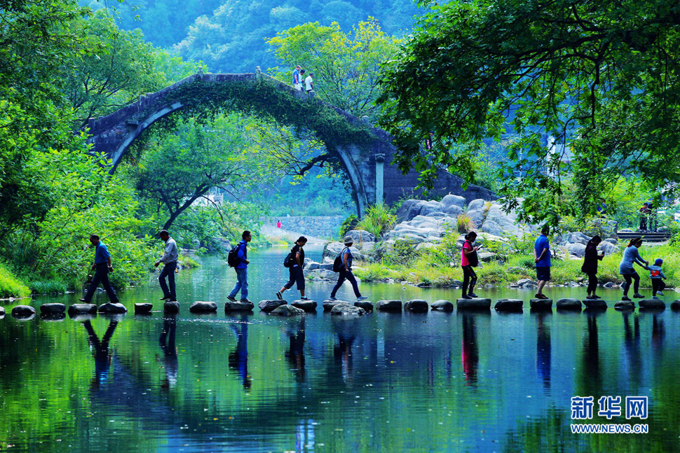 美呆了，中村