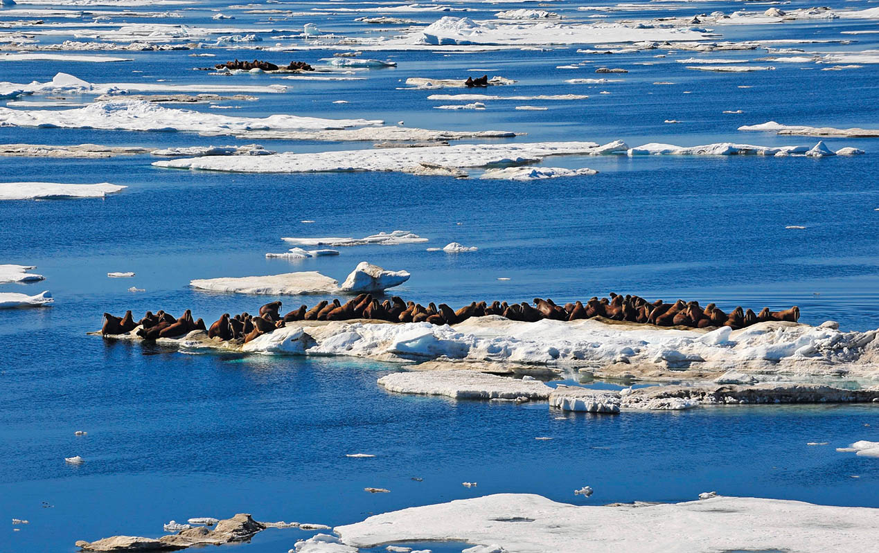 新千年前夜，我在北极感悟“新大陆”