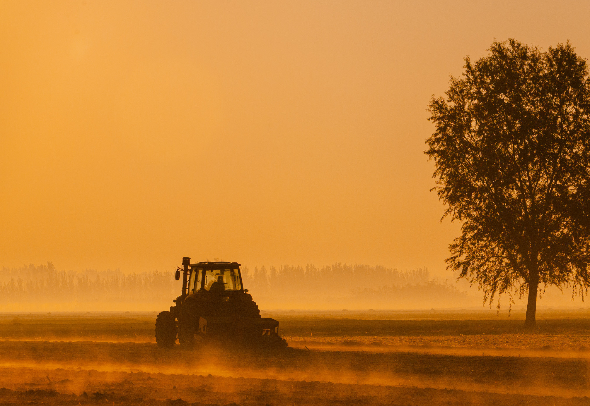 山東農業信貸擔保公司繪就財金支農惠農“新畫卷”