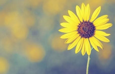 抗癌協(xié)會(huì):對(duì)“癌癥性格”說“不”