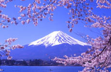 日本公租房“三費(fèi)”全免 可選不同類型房