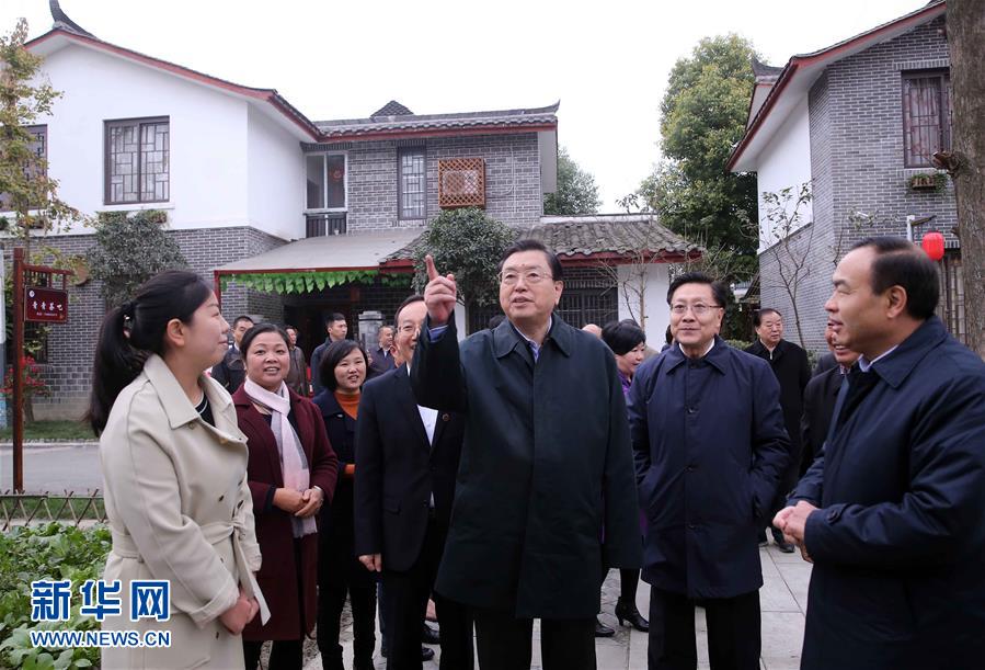 這是11月22日，張德江來到成都郫縣青杠樹村，了解村民委員會工作情況。 新華社記者 劉衛兵 攝 
