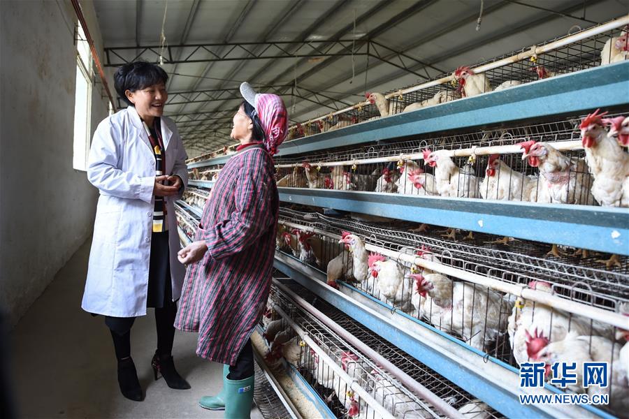 （十九大代表回基層&middot;圖文互動）（1）擺脫貧困后，還應有更高的精神追求&mdash;&mdash;十九大代表余留芬的&ldquo;宣講時光&rdquo;