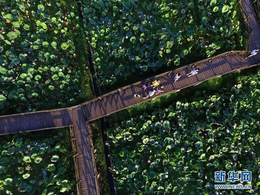 (新時(shí)代新氣象新作為·圖文互動(dòng))(2)向著小康沖刺——江西脫貧攻堅(jiān)“百日行動(dòng)”掃描