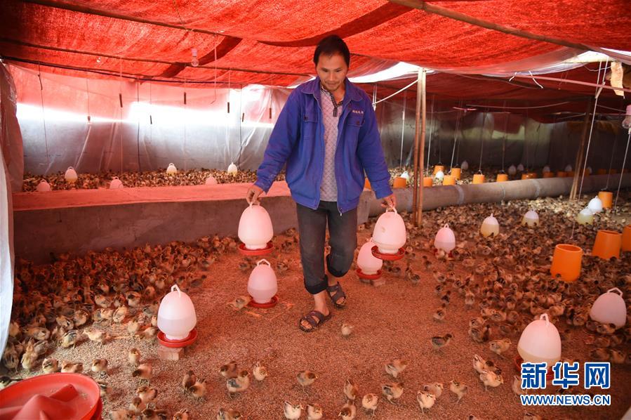 （新華全媒頭條&middot;圖文互動）（8）赤水：別了，貧困！