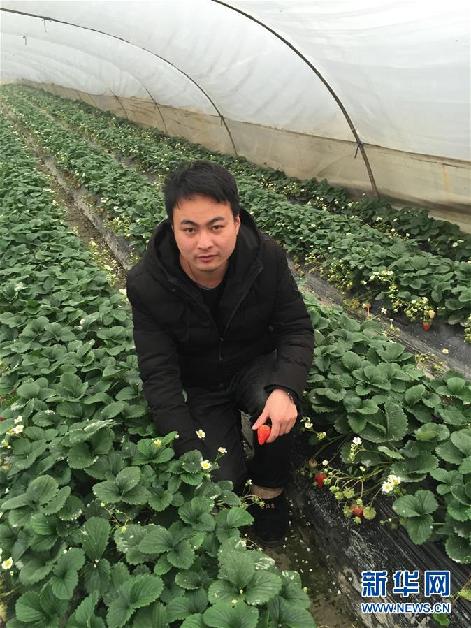 (圖文互動)(2)那些因農村路改變的青春——三位80后青年的鄉村奮斗路