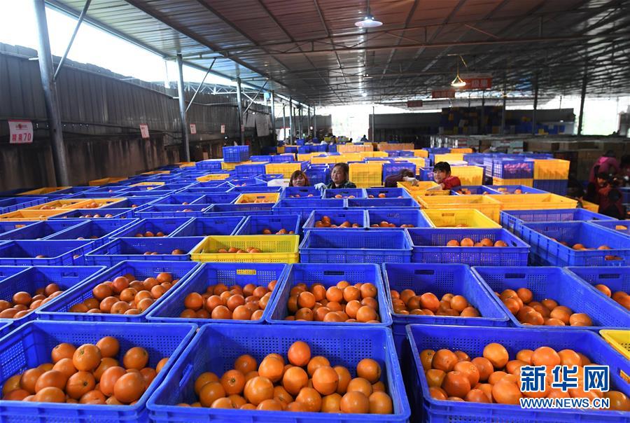 （新華全媒頭條&middot;習近平新時代中國特色社會主義思想在基層&middot;改革發展新氣象&middot;圖文互動）（5）改革創新潮涌動 激活發展新引擎