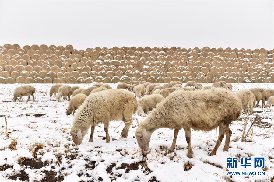 （鏡觀中國&middot;新華網(wǎng)）（11）新華社國內(nèi)照片一周精選