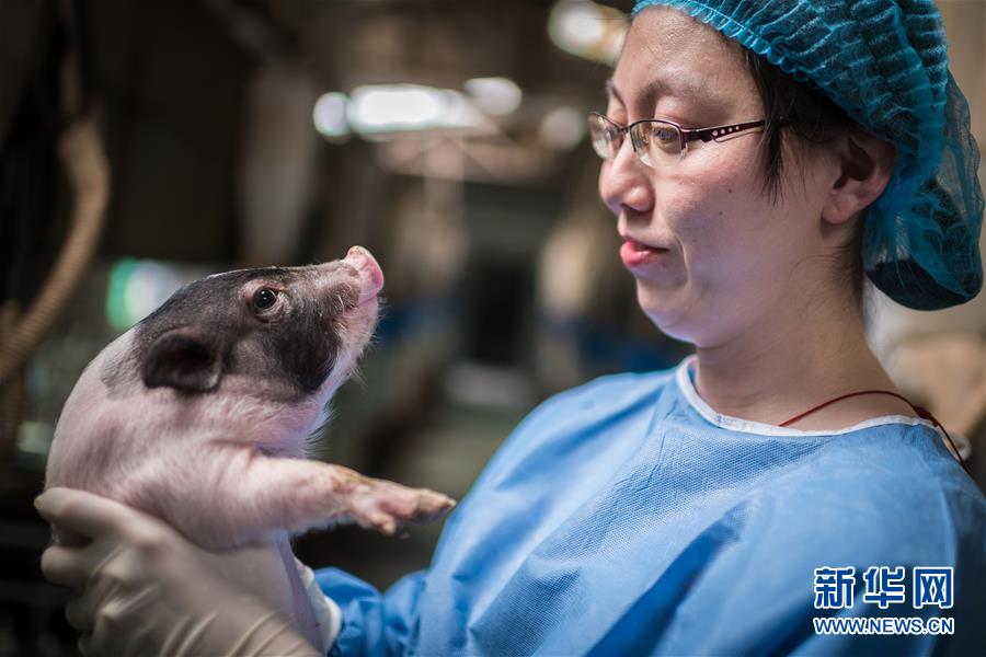 （鏡觀中國&middot;新華網）（13）新華社國內照片一周精選