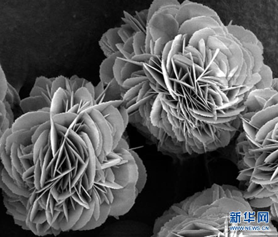 (新時代奮斗者·圖文互動)(3)“美麗發現”之路——記青年化學家戈鈞