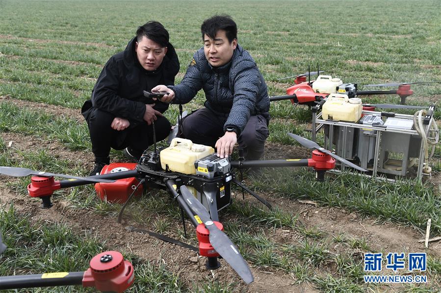 （新華全媒頭條&middot;圖文互動）（2）希望田野上的職業農民