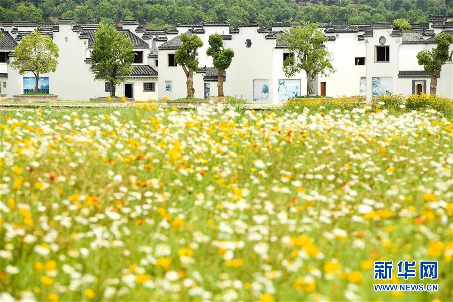 （新華全媒頭條&middot;搶救古民居&middot;圖文互動）（2）當(dāng)古民居遇上城鎮(zhèn)化，如何留住鄉(xiāng)愁？