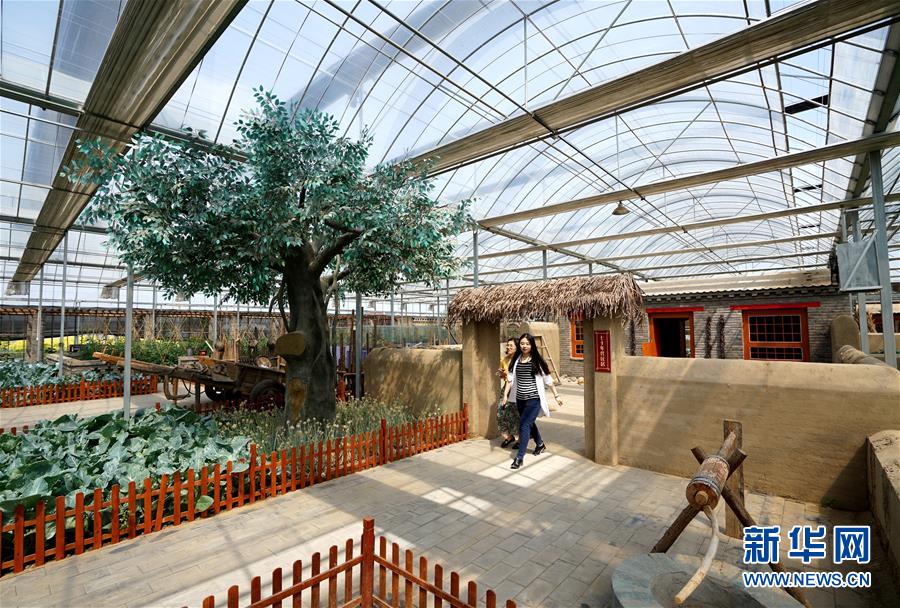 （社會）（3）特色農業休閑旅游助推鄉村振興