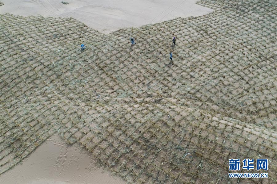 (新華全媒頭條·圖文互動(dòng))(8)荒漠化治理的“中國智慧”