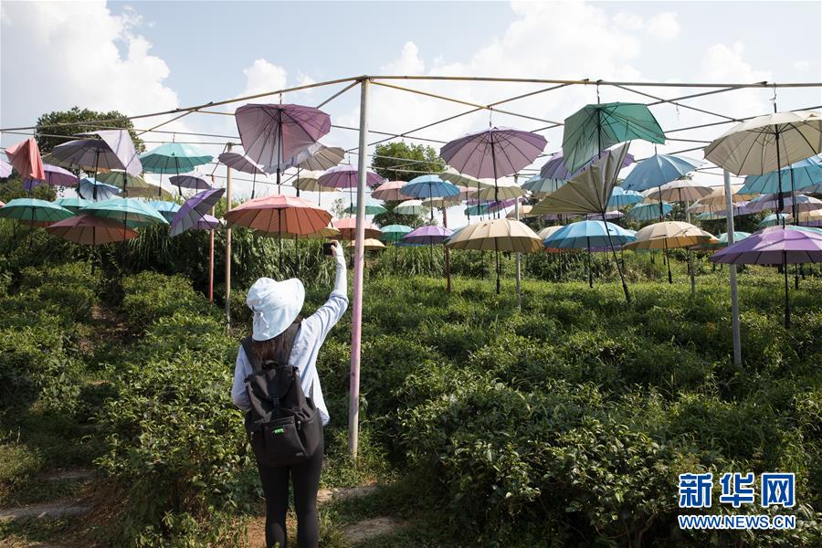 （大江奔流&mdash;&mdash;來自長江經濟帶的報道&middot;圖文互動）（4）在這里，做一個幸福的農民