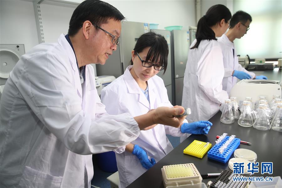 （新華全媒頭條&middot;圖文互動(dòng)）（1）人造單條染色體真核細(xì)胞問(wèn)世　我國(guó)開(kāi)啟合成生物學(xué)研究新時(shí)代