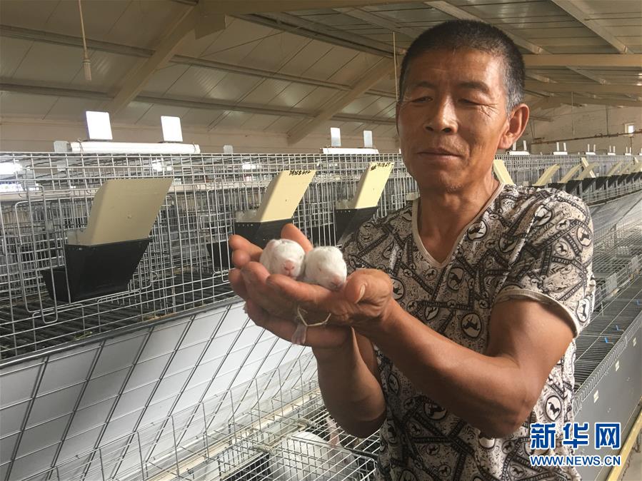 （新華全媒頭條&middot;在習(xí)近平新時(shí)代中國(guó)特色社會(huì)主義思想指引下&mdash;&mdash;新時(shí)代新作為新篇章&middot;圖文互動(dòng)）（10）綠富同興畫卷在沙海中鋪展&mdash;&mdash;庫(kù)布其沙漠生態(tài)治理紀(jì)實(shí)