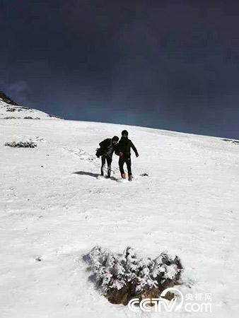 下雪天巡護也是常有的事。