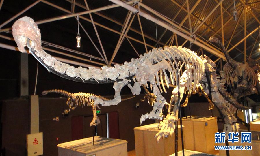 (圖文互動)(1)云南祿豐發現基干蜥腳型類恐龍新屬種“孫氏彝州龍”