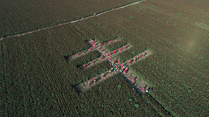 秋收的中國，你想象不到的美！但更美的是&hellip;&hellip;